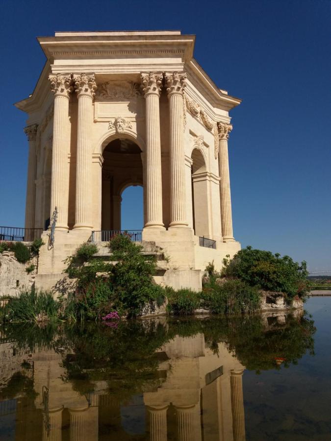 Un Oasis Au Coeur De La Vieille Ville, Classe 4 Etoiles Монпелие Екстериор снимка